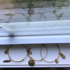 3 Alex and ani bracelets ✨